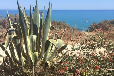 Byhus i Cianciana, Agrigento, Cianciana - € 59.000 | Ref: Casa Marta - foto 23